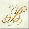 Birr logo script B